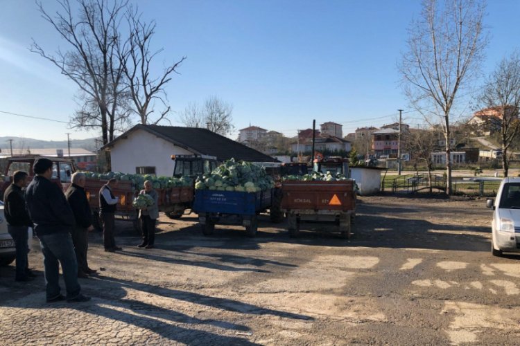Fiyatlardaki düşüş çiftçiyi hayal kırıklığına uğrattı