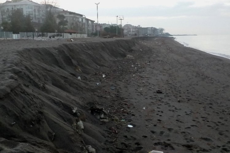 Akçakoca sahilinde şaşırtan görüntü