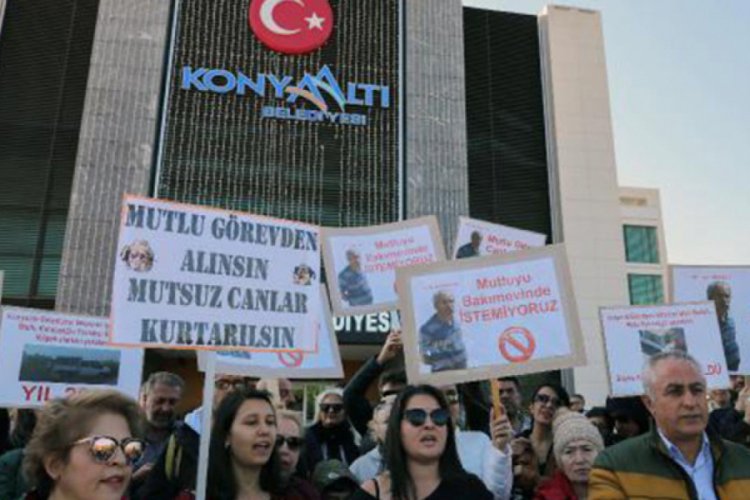 Hayvanseverlerin protesto ettiği müdür görevden alındı