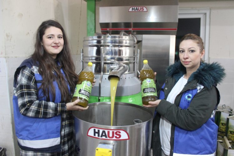 Bursa'da parklardaki zeytinleri toplayıp ihtiyaç sahiplerinin sofrasına yağ olarak ulaştırıyorlar