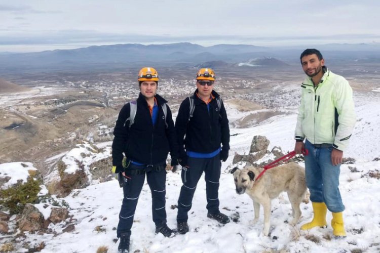 Mahsur kalan köpeği AFAD kurtardı