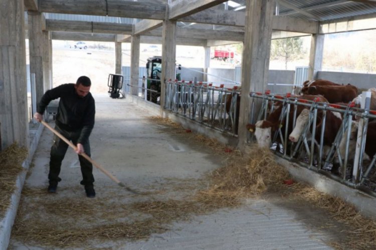 İşini bırakıp hayvancılık için kurduğu tesise elektrik alamadı