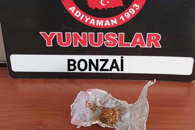 Uyuşturucu operasyonunda 1 gözaltı