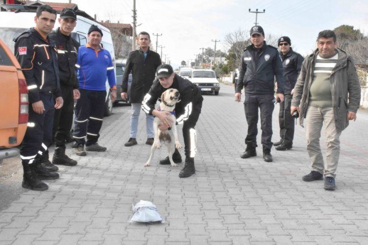 Kaybolan İngiliz aranıyor