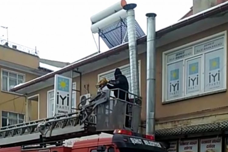 Mahsur kalan kediyi itfaiye kurtardı