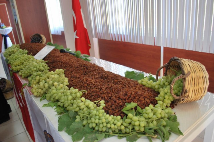 Kuru üzümde rekor ihracat rakamı yüz güldürdü