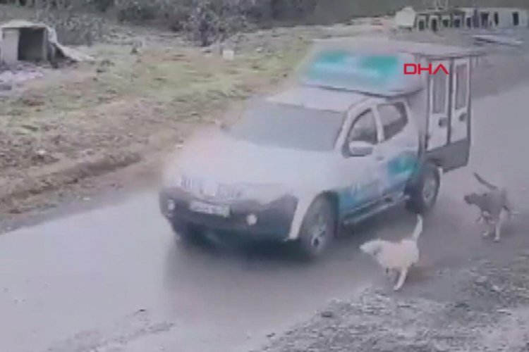 O belediye çalışanı işten çıkarıldı