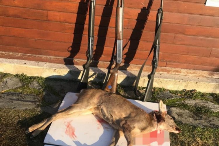 Derisi yüzülmüş halde bulunmuştu... 25 bin lira ceza kesildi