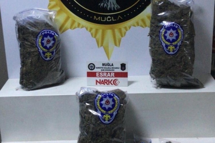 Uyuşturucu operasyonunda 5 şüpheli gözaltı alındı