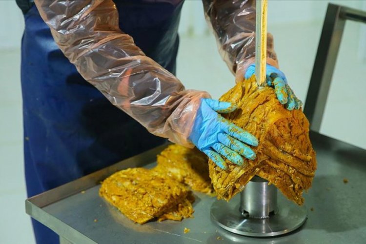 Avrupa'ya balık döner ihraç edilecek