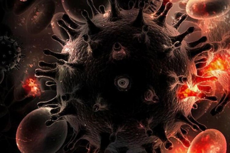 Daha önce hiç rastlanılmayan bir virüs keşfedildi!