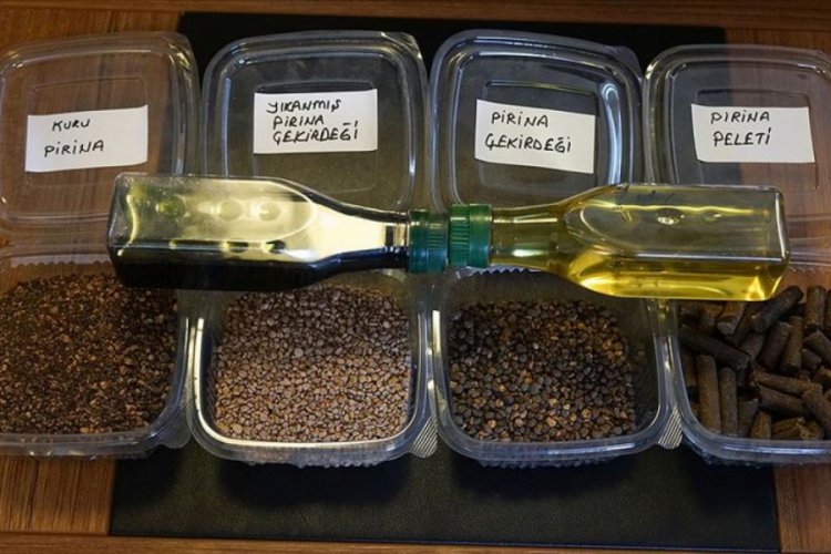 Edremit Körfezi'nden Midilli Adası'na 'zeytin çekirdeği yakıtı' ihracatı