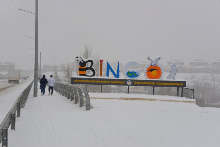 Bingöl'de 281 köy yolu kardan kapandı