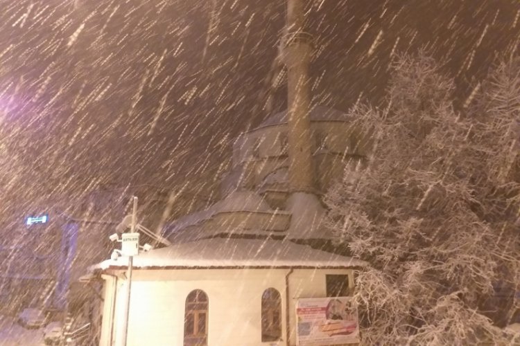 Artvin beyaza büründü