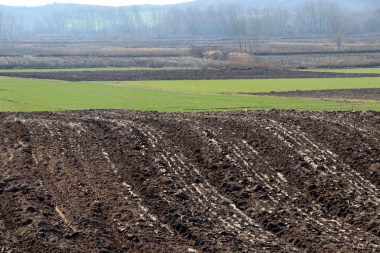 Edirne'de kuraklık endişesi