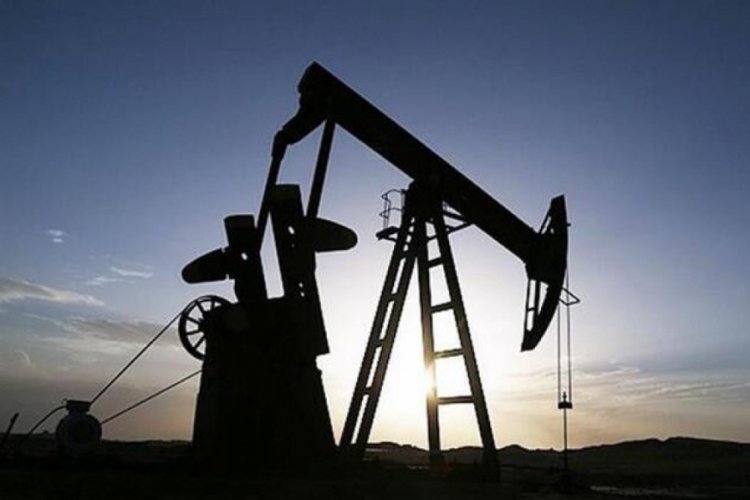 ''Covid-19'un küresel petrol talebine etkisi büyük olacak''