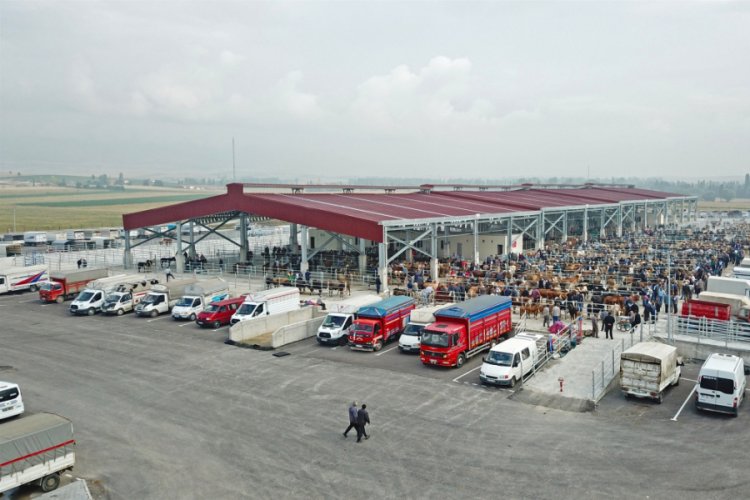 Hayvan pazarı kapatıldı