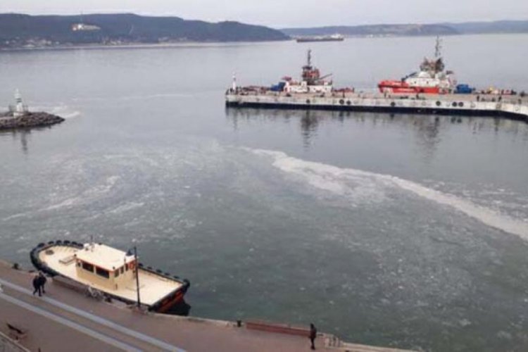 Denizin üstünde jelimsi bir tabaka belirdi!