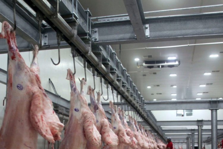 Bursa'da şarbon hastalığı mezbaha ve hayvan pazarını kapattırdı