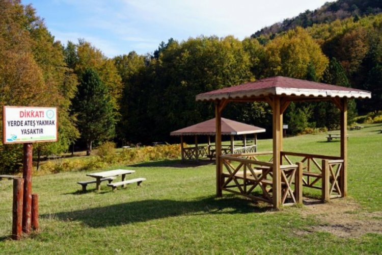 Bursa Uludağ'da kamu malına zarar verenlere hapis cezası