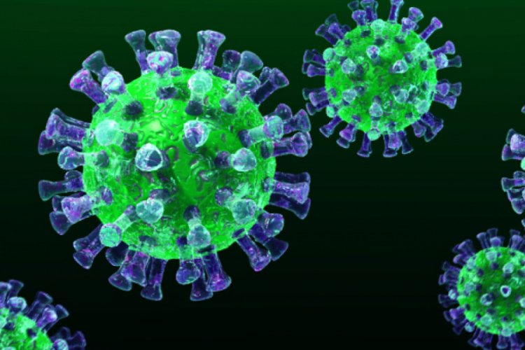 Katar'da MERS virüsü tespit edildi