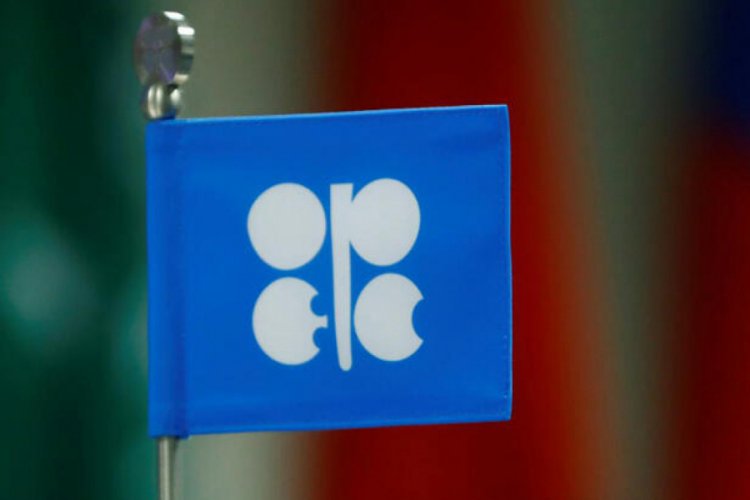 Novak: Rusya ve OPEC planlanmış toplantıyı öne almayacak