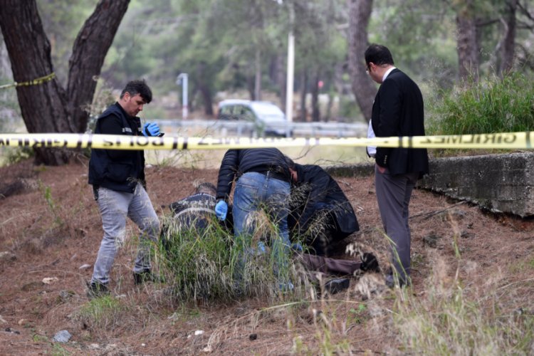Ormanda kendisini ağaca astı