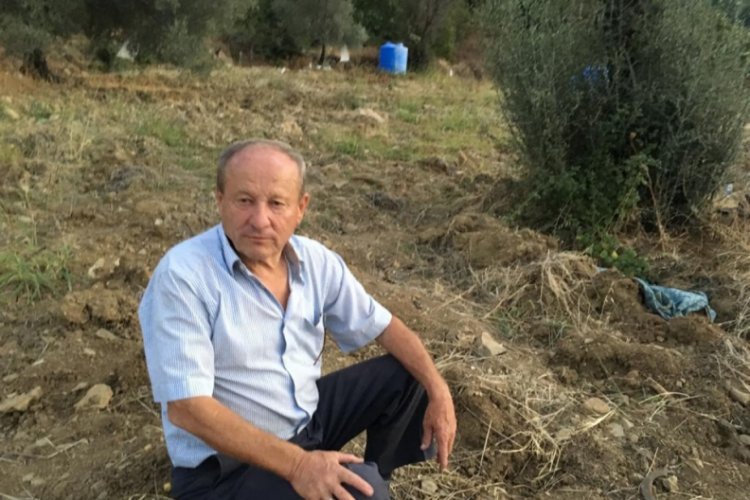 Kafasına tomruk çarpan kişi öldü