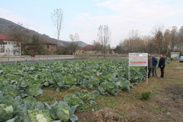 Düzce Üniversitesi'nde tarım paneli düzenlenecek