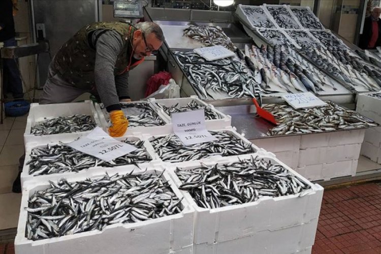 Karadenizli balıkçının gözdesi yine 'hamsi' oldu