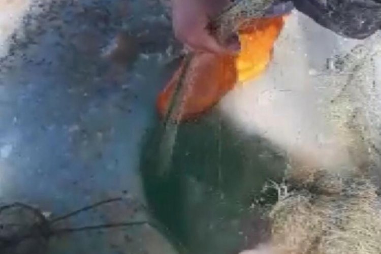 Baraj donunca 6 kilometrelik kaçak ağ ortaya çıktı