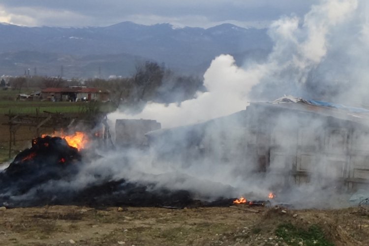 Bursa'da samanlık yangında küle döndü