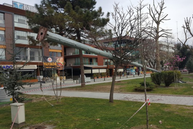 Düzce'de şiddetli rüzgar, aydınlatma direğini devirdi