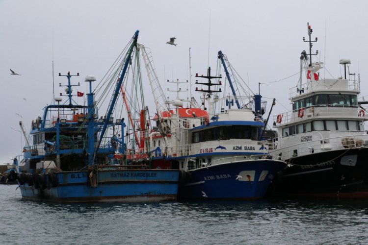 Karadeniz'de balık av sezonu erken kapanıyor