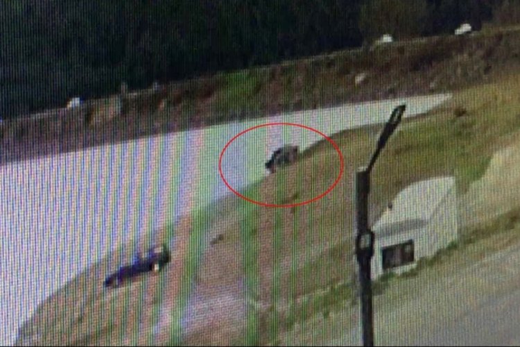 Manevra yapan araç göle uçtu