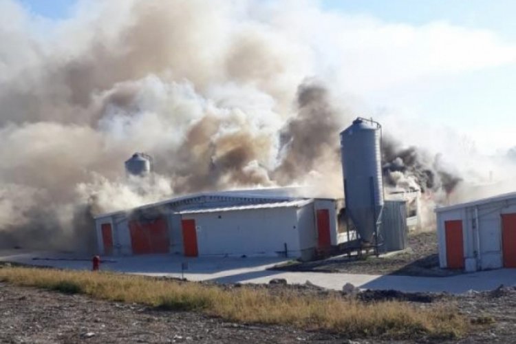 Bursa'da tavuk tesisi yandı