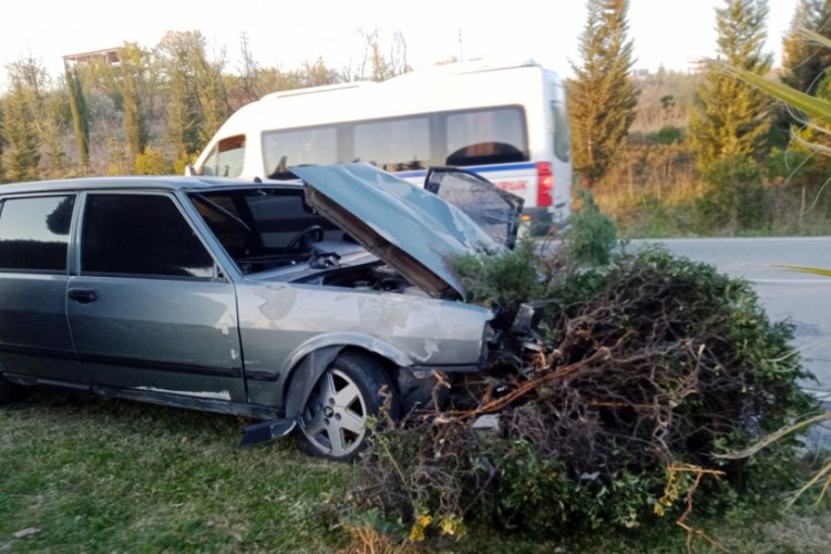 Bursa'da otomobil refüjdeki ağaçları yerinden söktü