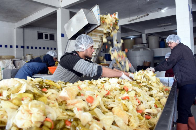 Bursa'da Gedelek turşusuna talep arttı