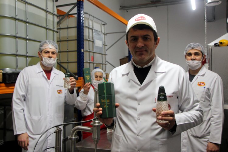 Çam kolonyasına rağbet arttı