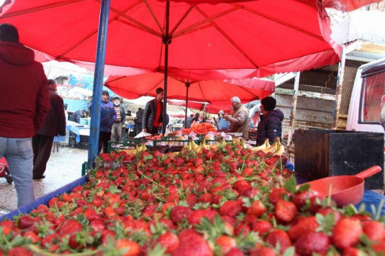 Meyve fiyatları yarı yarıya düştü