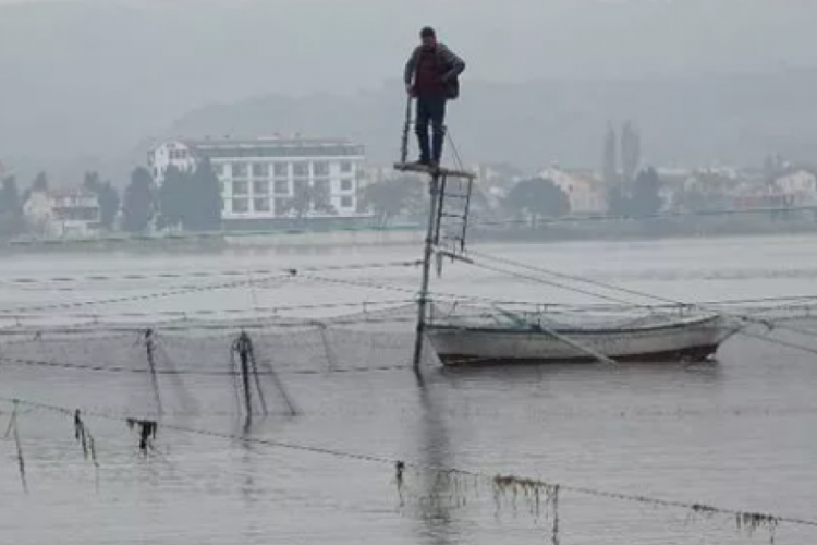 Denize açılmadan günde 1 ton balık yakalıyorlar!