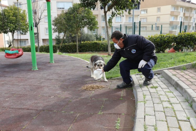 Bursa Mudanya Belediye Başkanı Türkyılmaz: ''Sahipsiz değiller, biz varız''