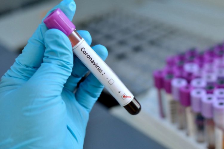 Coronavirus tv izleme oranını ne kadar arttırdı?