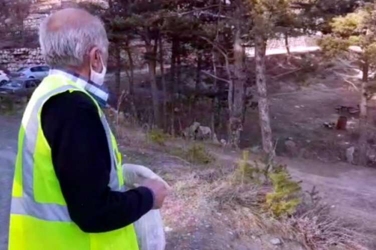 Islık çalarak çağırdığı tilkiyi besliyor
