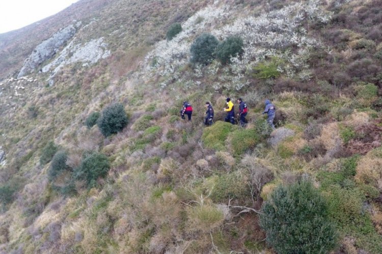 Dağda mahsur kalan keçi için çalışma başlatıldı