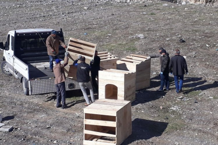 Başıboş hayvanlar için önlem alındı
