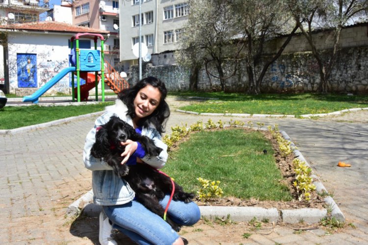 Hayvanseverlerden koronavirüs tedbiri