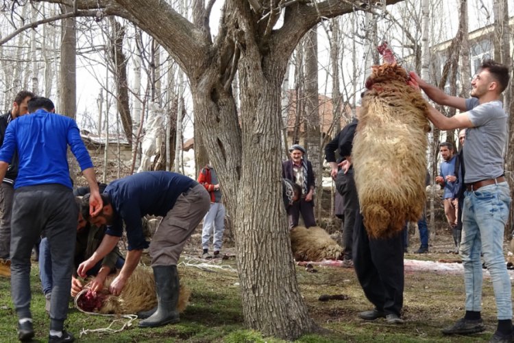 Koronavirüse karşı 180 kurban kesip ihtiyaç sahiplerine dağıttılar
