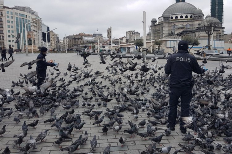 Taksim'de aç kalan güvercinleri polisler besledi