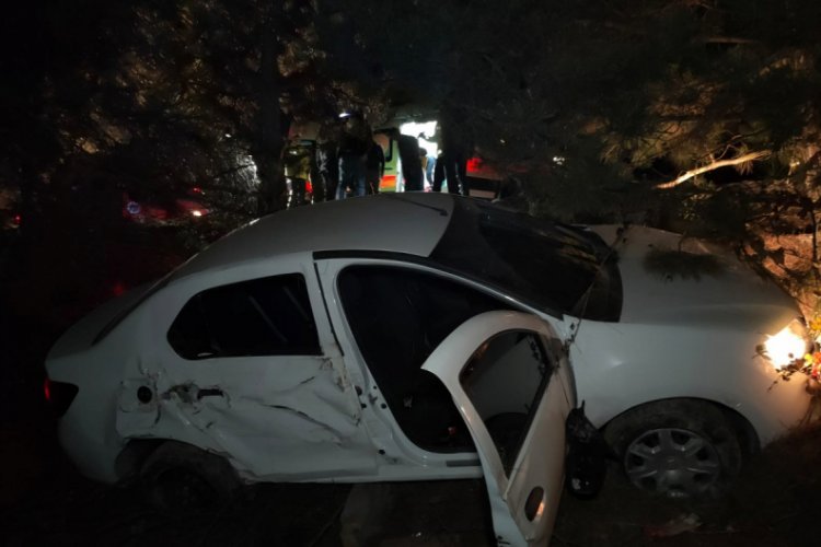 Kontrolden çıkan otomobil ağaca çarpıp şarampole uçtu: 1 ölü